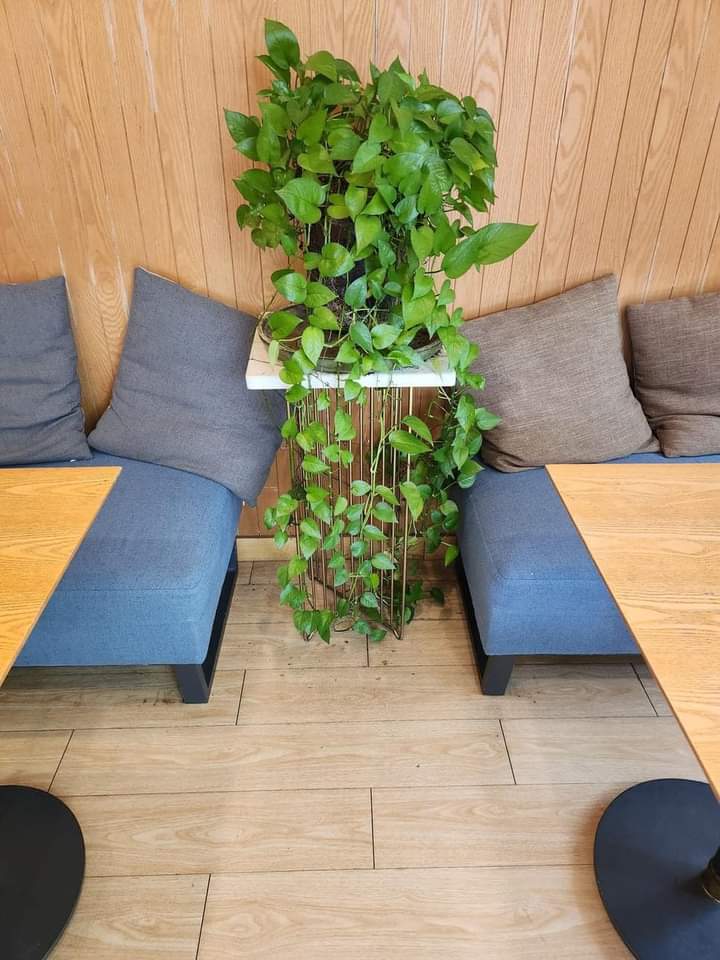 Mình cần thanh lý toàn bộ bàn ghế, thiết bị (bàn mát, tủ mát trưng bày, máy lạnh,...) quán cafe. (1)