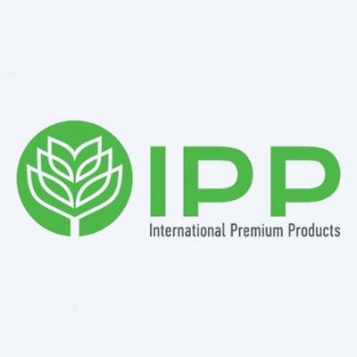 IPP GROUP Tuyển Dụng Thực Tập Sinh Kế Toán