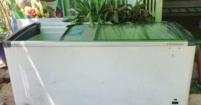 Cần thanh lý lại vỏ tủ mát, giữ đá lâu tan