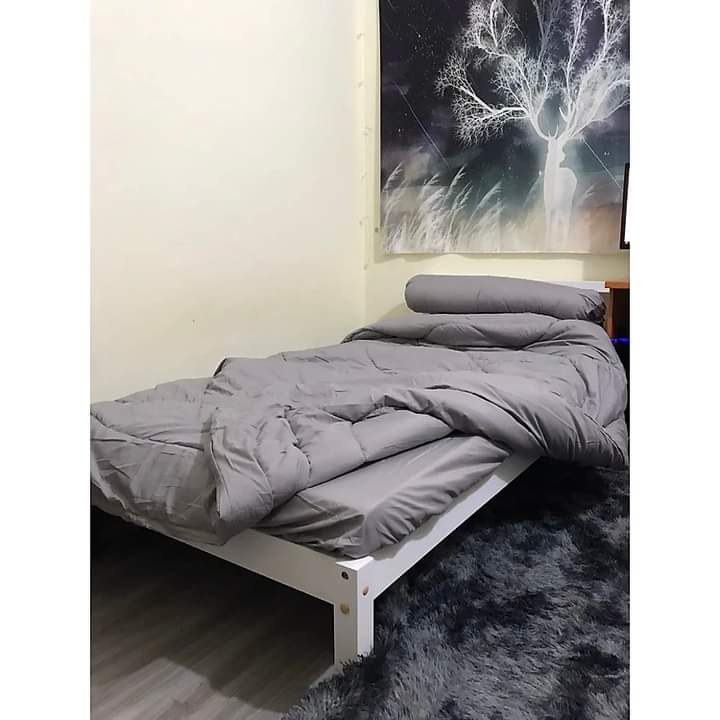 Thanh lý giường ngủ đơn BAYA SAPA (2)