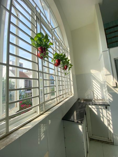 CÒN 1 PHÒNG Ở ĐƯỢC NGAY - GẦN CÔNG VIÊN LÀNG HOA - CHỢ HẠNH THÔNG TÂY (2)