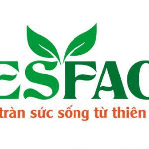Thực Tập Sinh Digital Marketing - Nesfaco