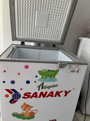 Thanh lý tủ đông Sanaky 100Lit